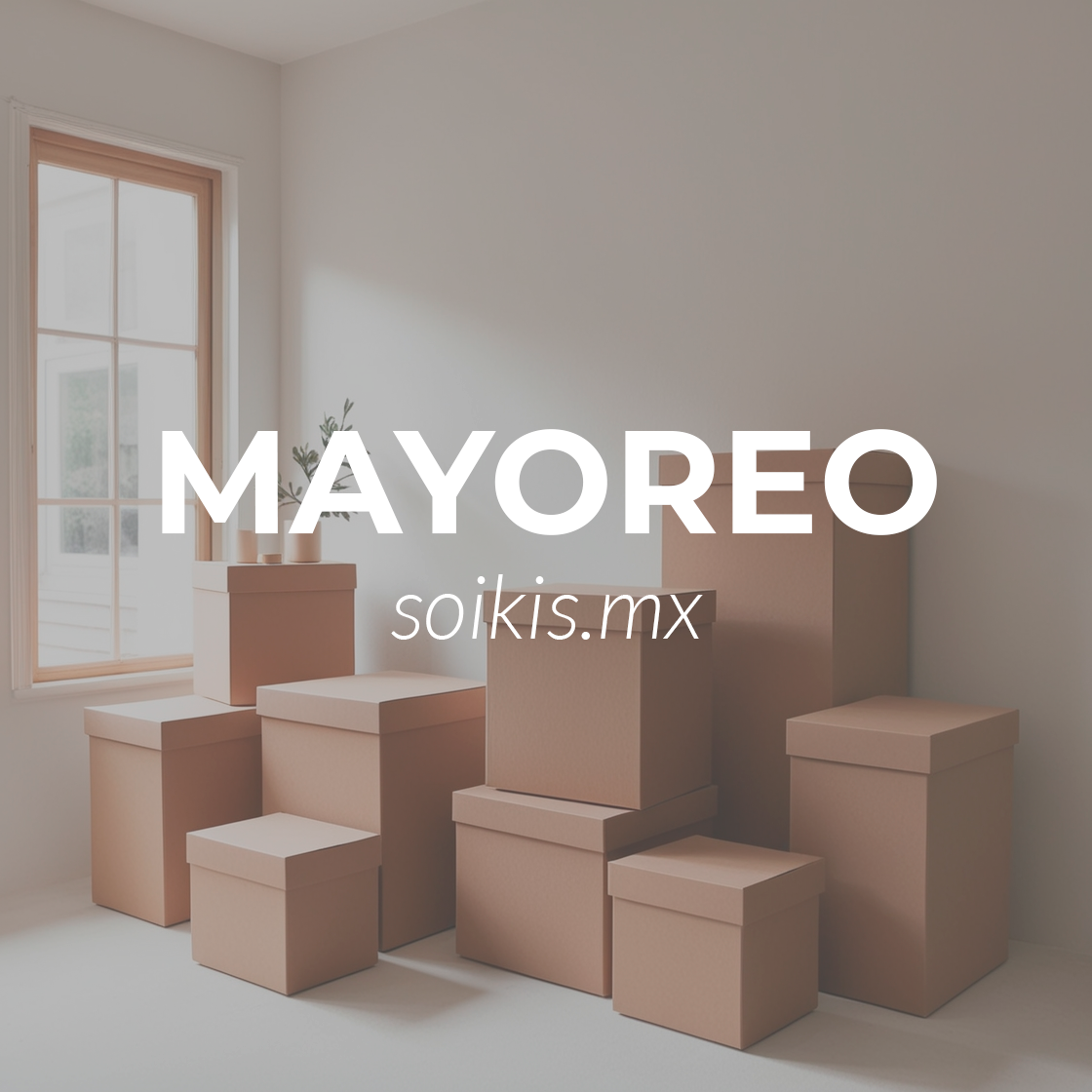 Imagen Mayoreo